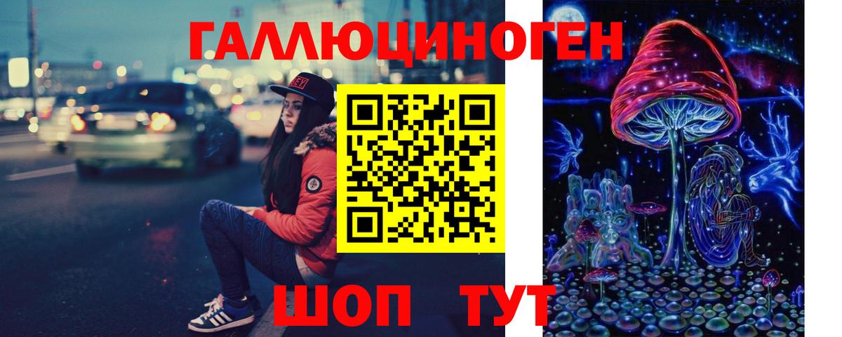 Кизилюрт  Галлюциногенные грибы мицелий  Вход с VPN 