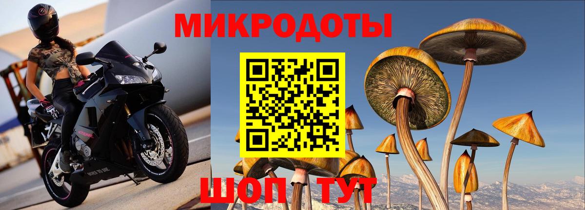 Галлюциногенные грибы прущие грибы Кизилюрт